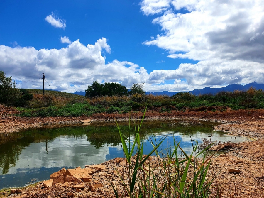 Commercial Property for Sale in Bonnievale Western Cape